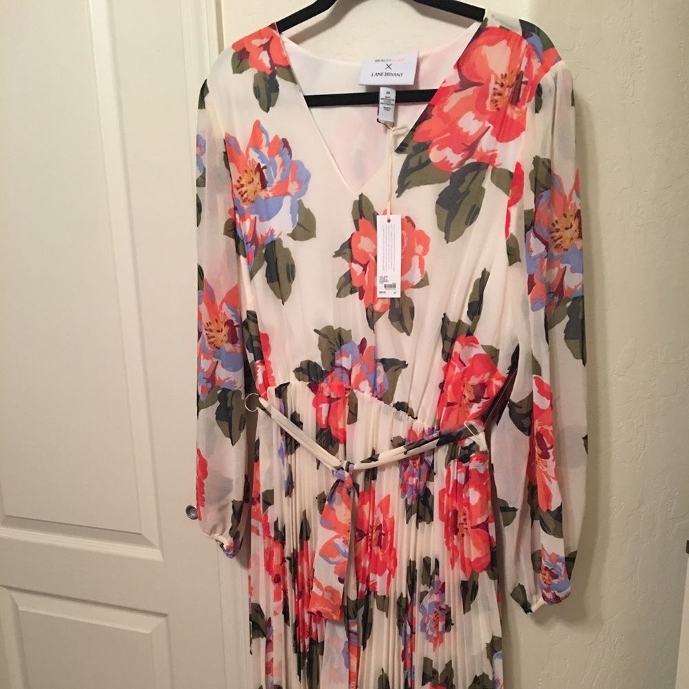 NWT Pleated dress